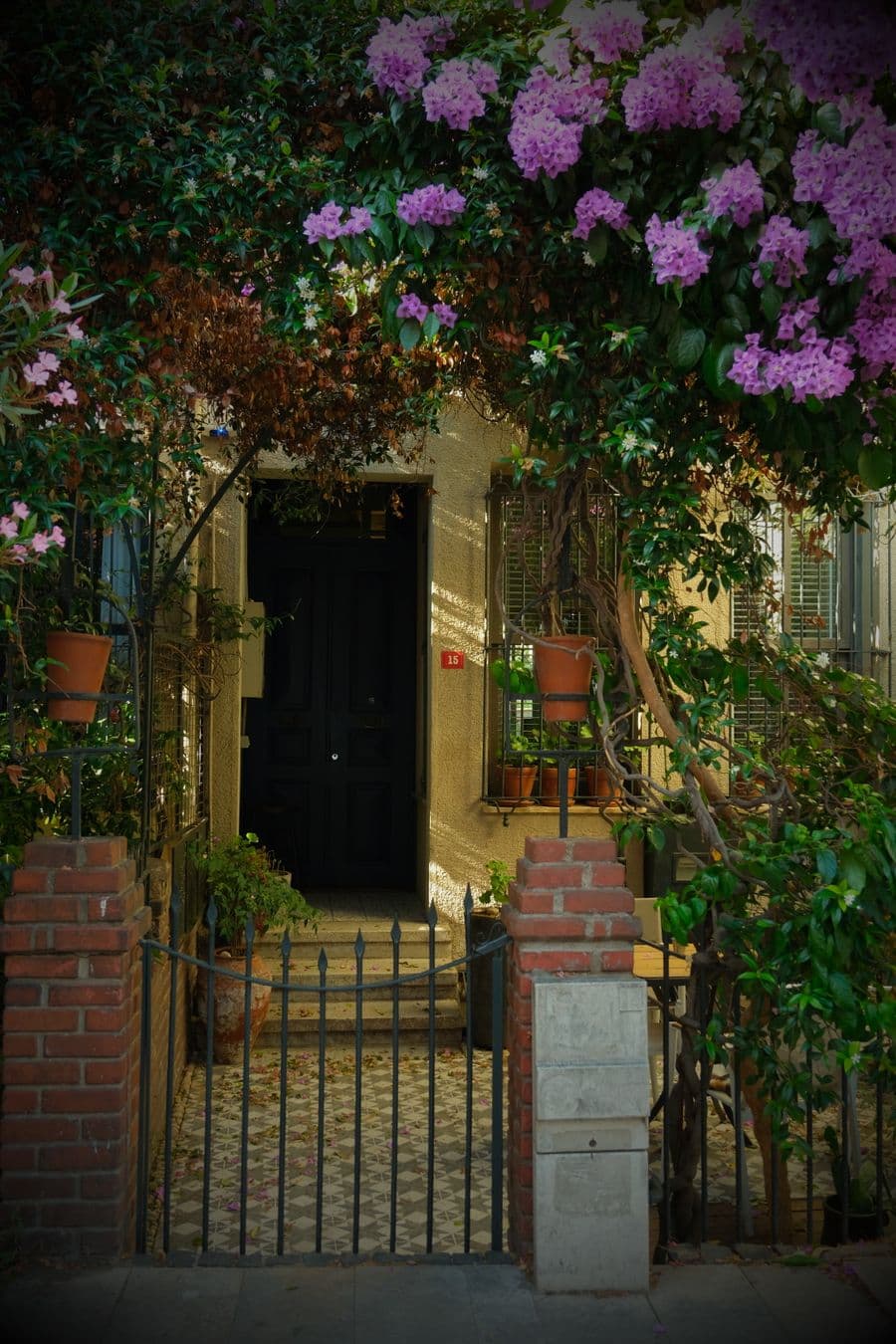 Illustration: a house entrance framed by flowering shrubs